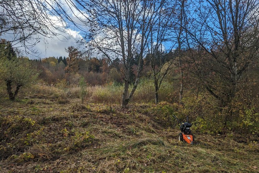 Biotoppflege in Oggenhausen durch den SAV