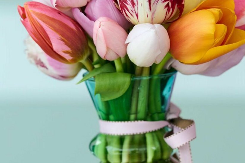 KEINE GLEICHT DER ANDEREN: Tulpen gibt es mit unendlich vielen Blütenfarben, und wer genau hinsieht, wird auch bei den Blütenformen deutliche Unterschiede entdecken.