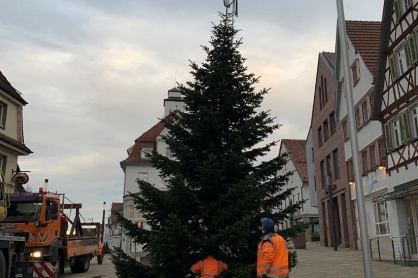 Aufstellung Weihnachtsbaum vor Rathaus Giengen