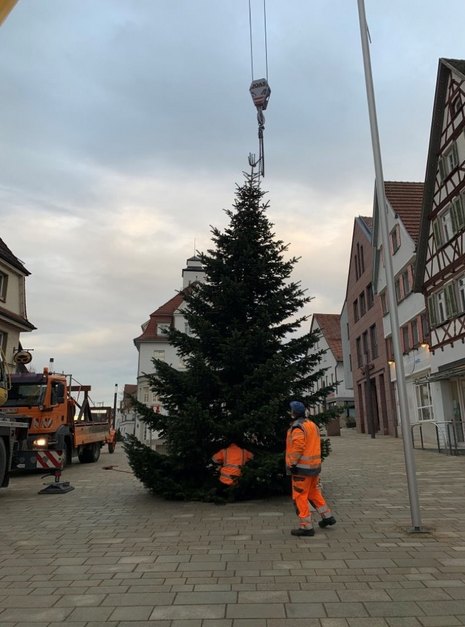 Aufstellung Weihnachtsbaum vor Rathaus Giengen