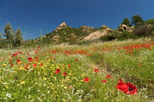 Lassen Sie sich von der Vielfalt und Schönheit Sardiniens begeistern. | Foto: Michael Fleck