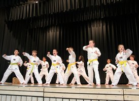 Auch Taekwondo  gibt es beim SV Mergelstetten. Foto: Seppi Elbert | Foto: Seppi Elbert