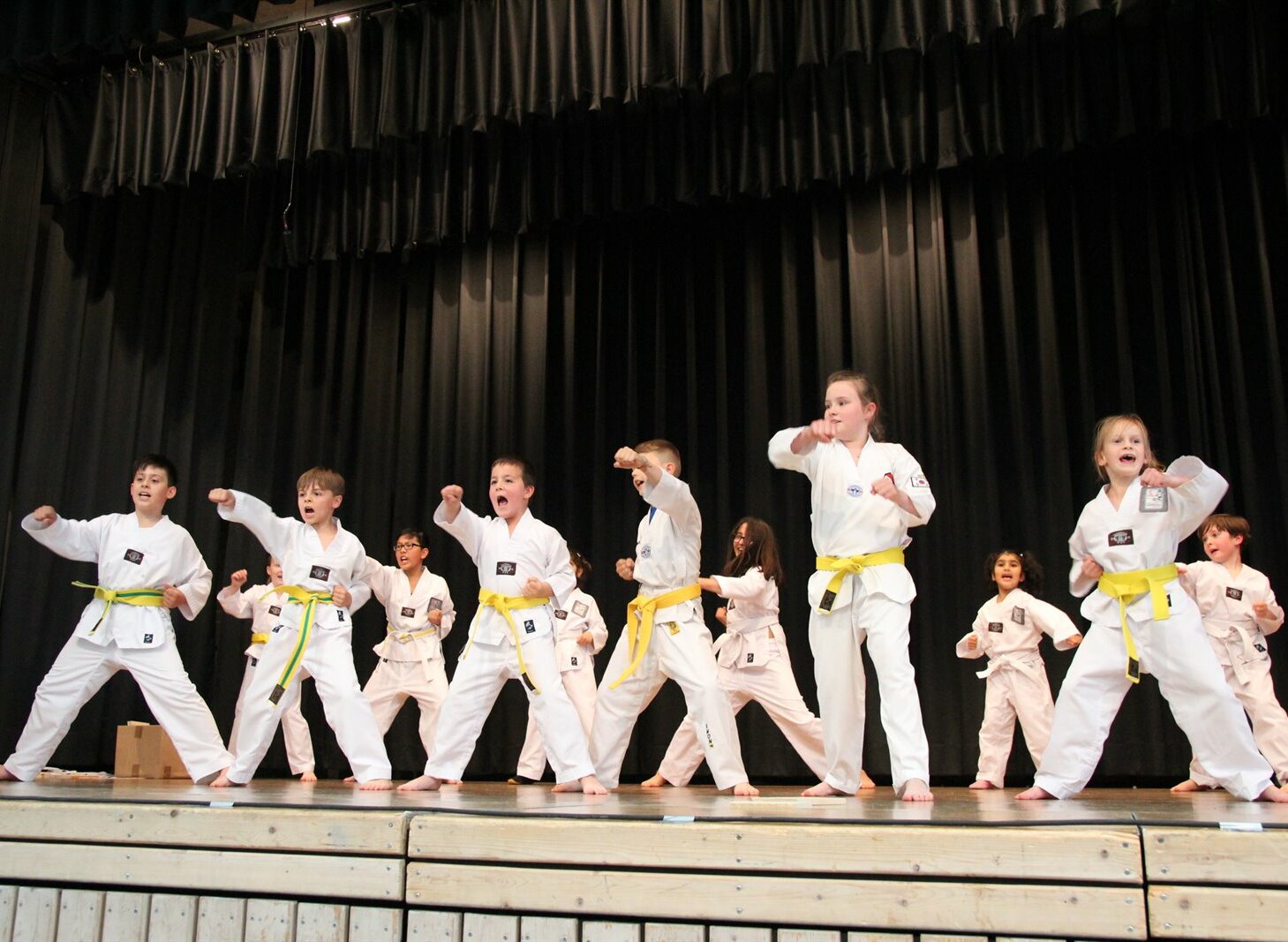 Auch Taekwondo  gibt es beim SV Mergelstetten. Foto: Seppi Elbert
