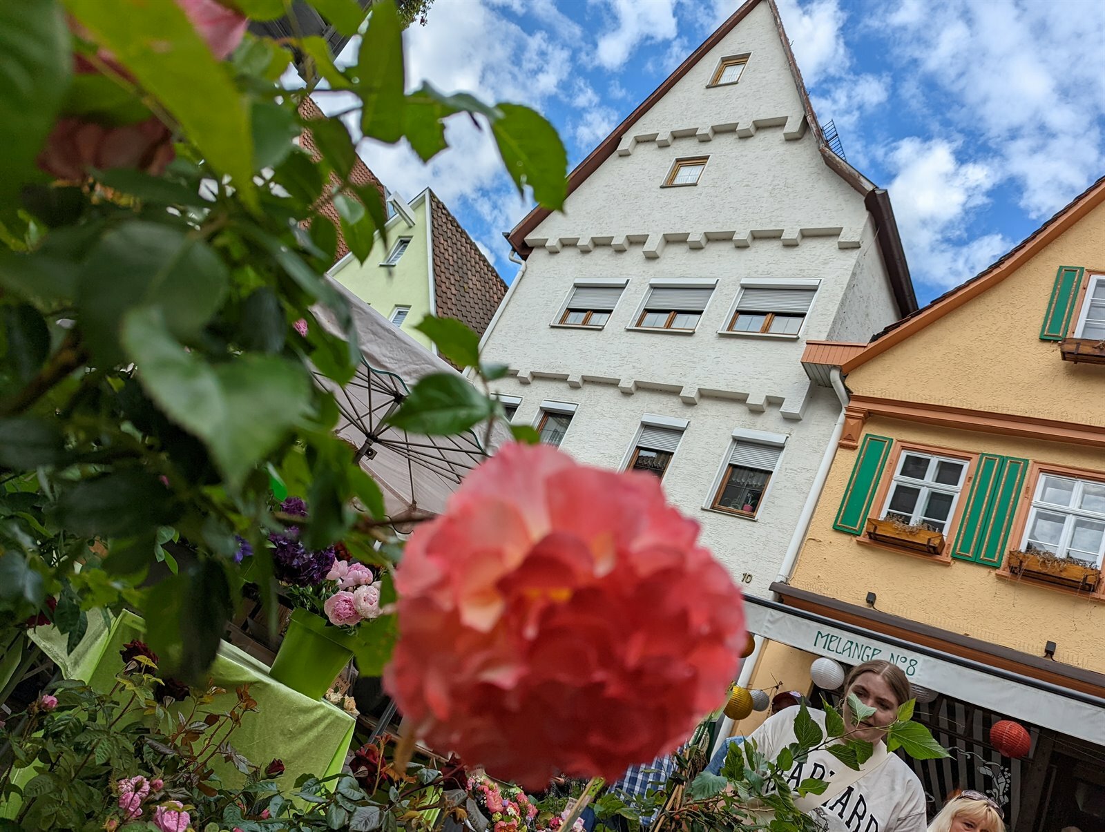 Der Heidenheimer Rosenmarkt: Ein Traum von Blumen und alt-städtischer Romantik. | Foto: Florian Wagner