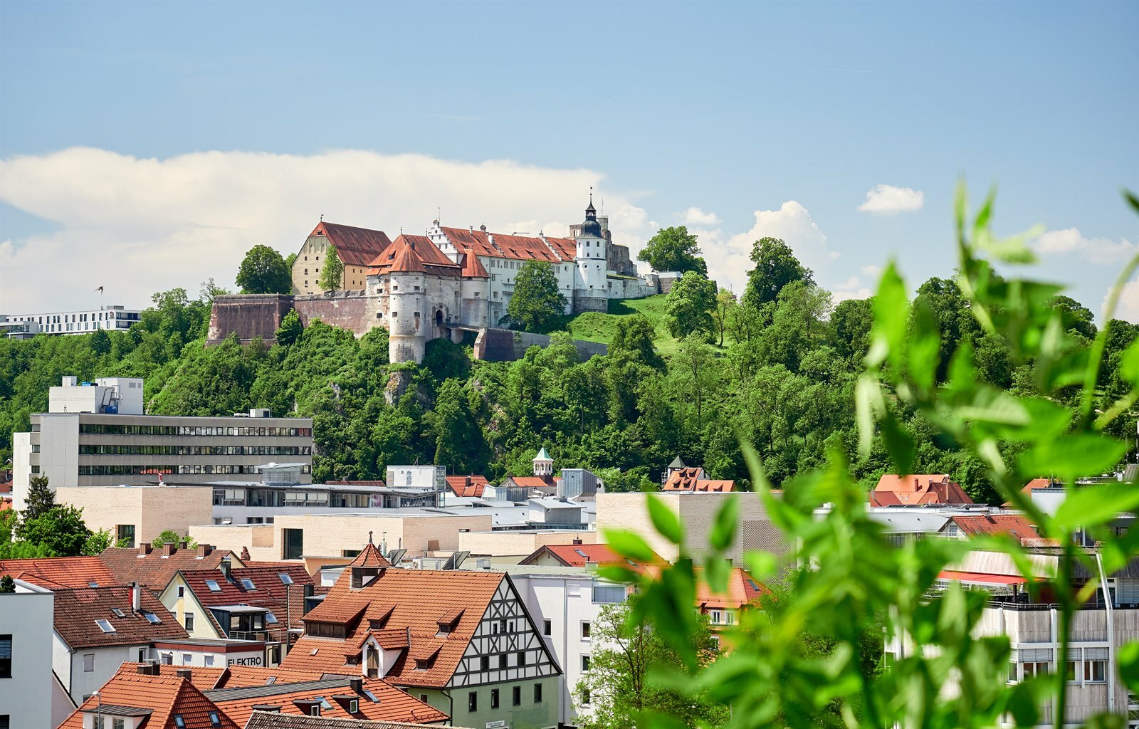 Der Heidenheimer Schlossberg bietet am 19. Juni viele spannende und abwechslungsreiche Aktionen an.
