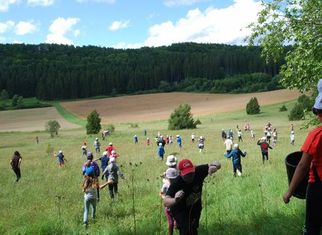 Sommer, Sonne, Spaß und Spiel bei einem Ausflug auf die Heiderose
 Foto.:Awo-Ortsverein HDH
