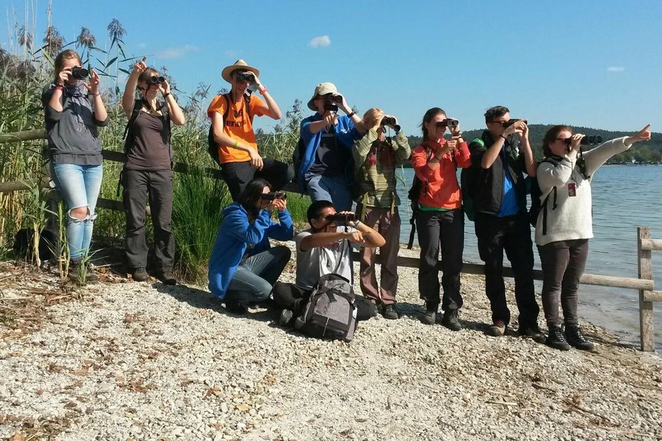 Eintauchen in die faszinierende Welt der Zugvögel: Am Sonntag, 16. Oktober bietet das Nabu-Naturschutzzentrum Bad Buchau eine geführte Vogelbeobachtung am Federsee an.